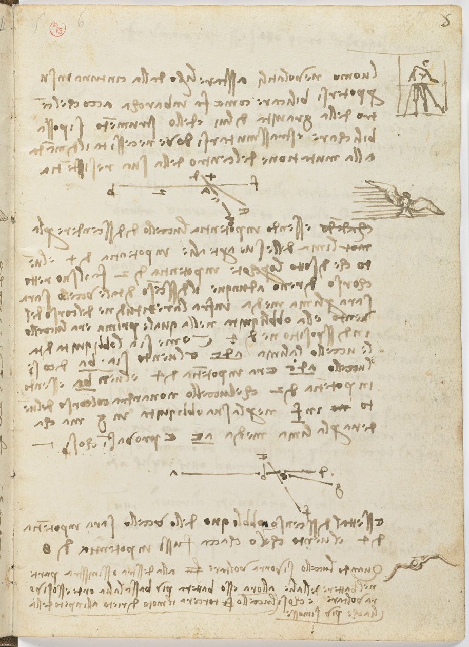 Letový kód ptáků, c. 1505-06, papírový rukopis, cc. 18, list 5 obj od Leonardo da Vinci