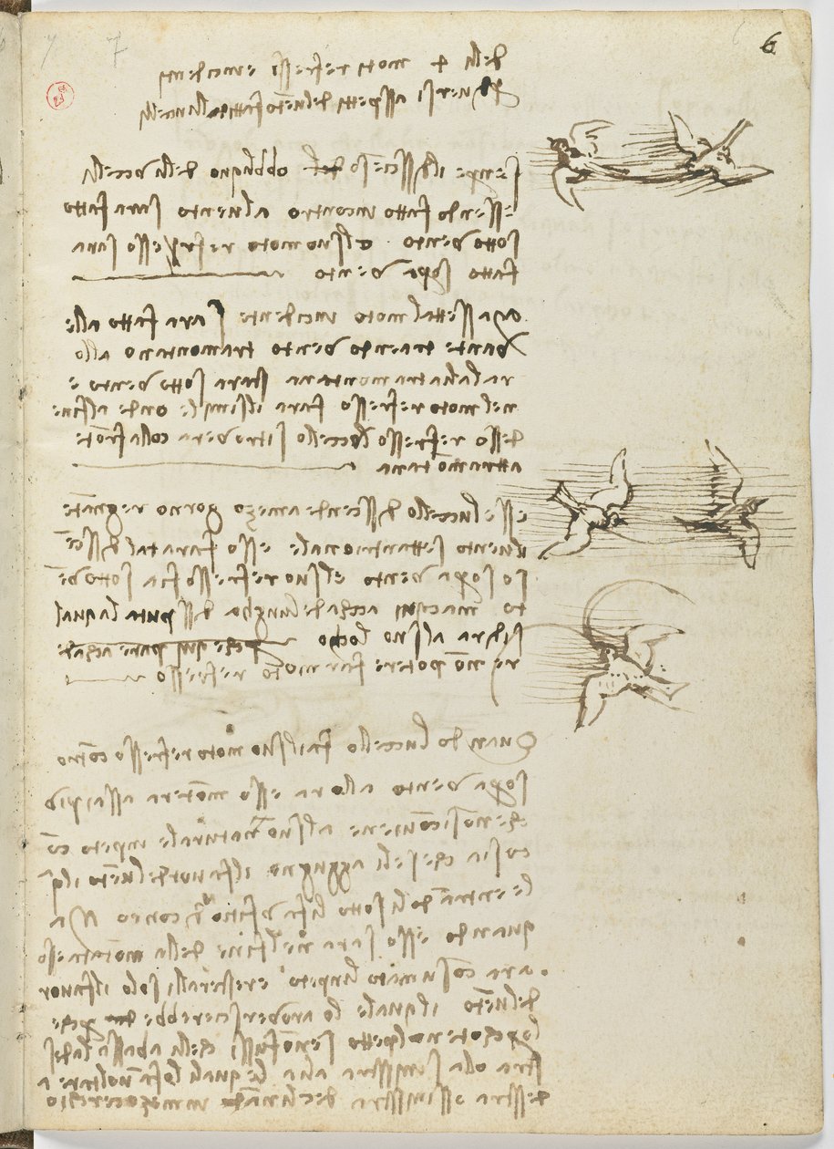 Letový kód ptáků, c. 1505-06, papírový rukopis, cc. 18, list 6 obj od Leonardo da Vinci