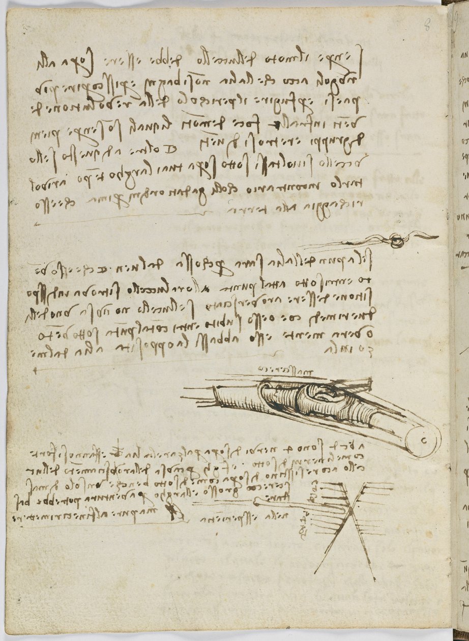 Letový řád ptáků, asi 1505-06, papírový rukopis, cc. 18, list 6 verso od Leonardo da Vinci