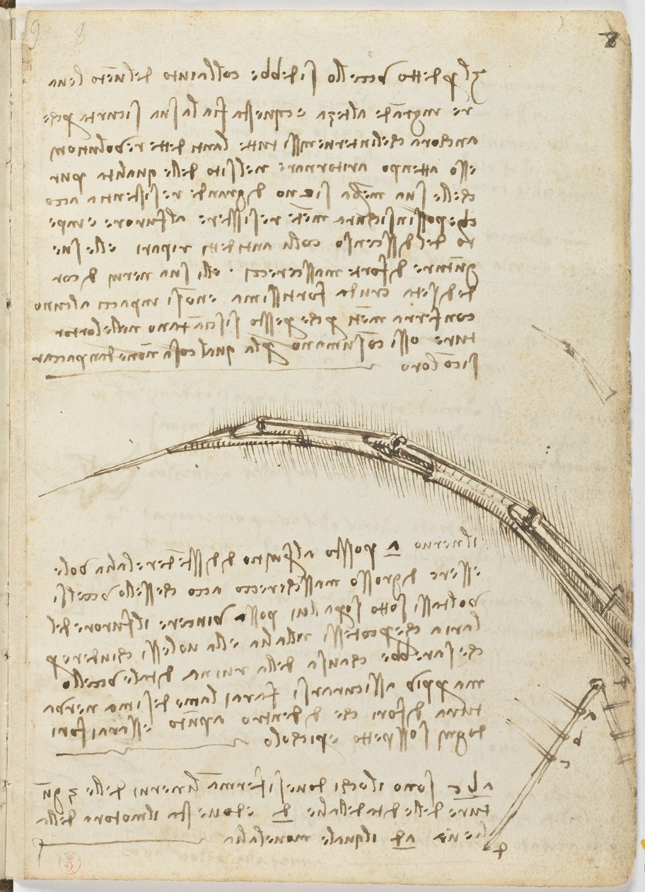 Letový kód ptáků, c. 1505-06, papírový rukopis, cc. 18, list 7 obj od Leonardo da Vinci