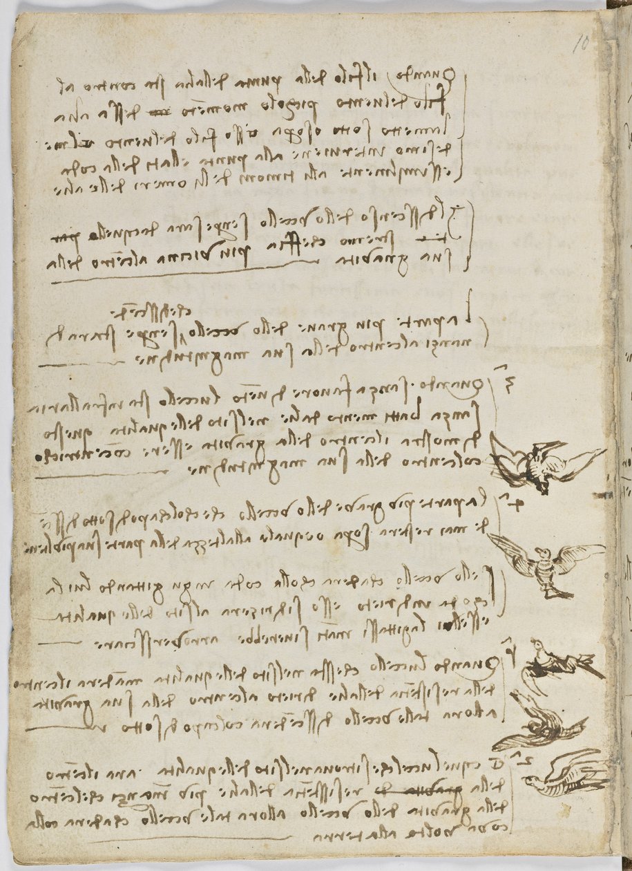 Letový kód ptáků, c. 1505-06, papírový rukopis, cc. 18, list 7 verso od Leonardo da Vinci