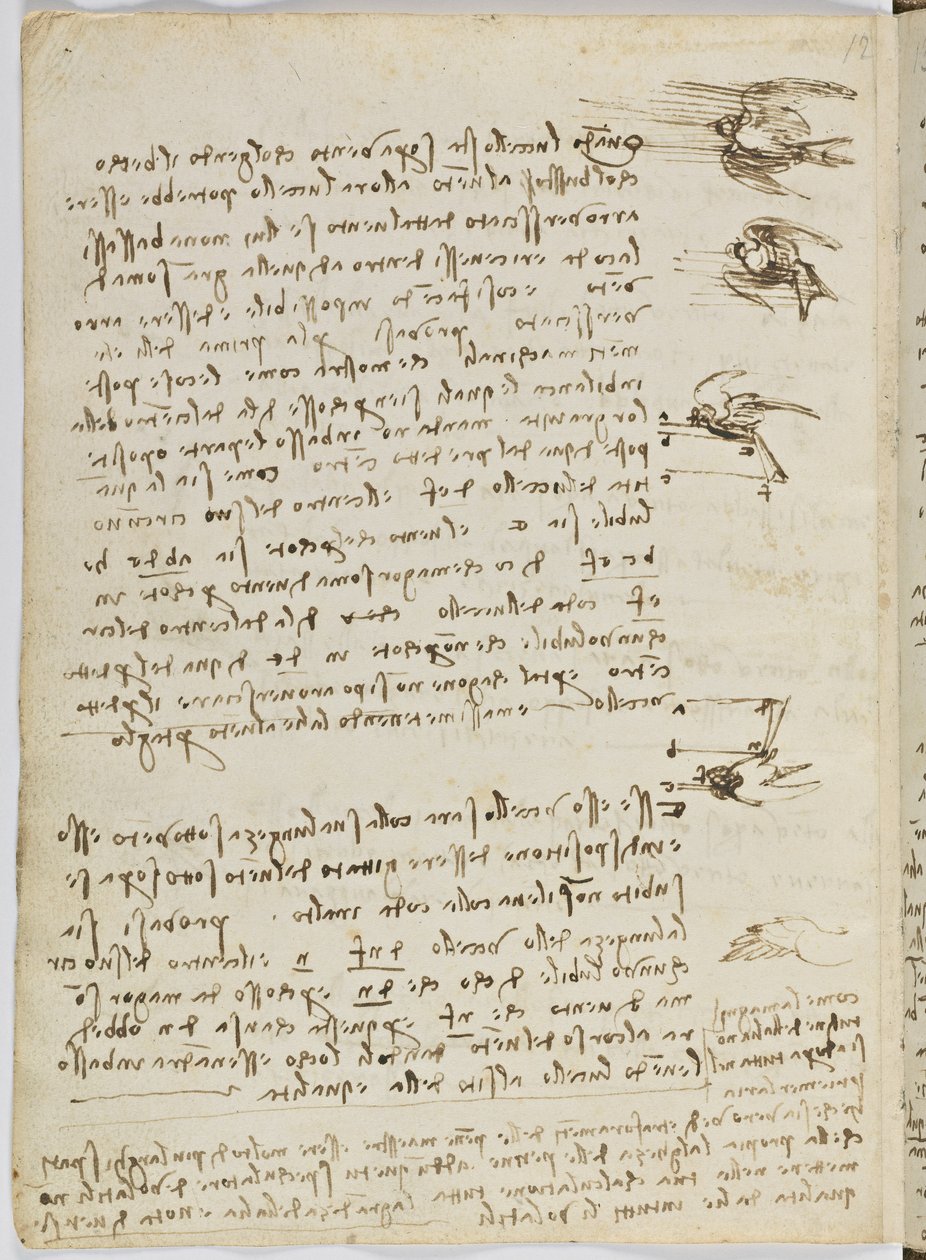 Letový kód ptáků, c. 1505-06, papírový rukopis, cc. 18, list 8 verso od Leonardo da Vinci
