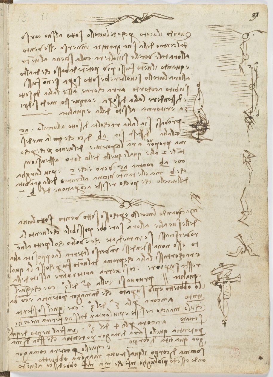 Letový kód ptáků, c. 1505-06, papírový rukopis, cc. 18, list 9 recto od Leonardo da Vinci