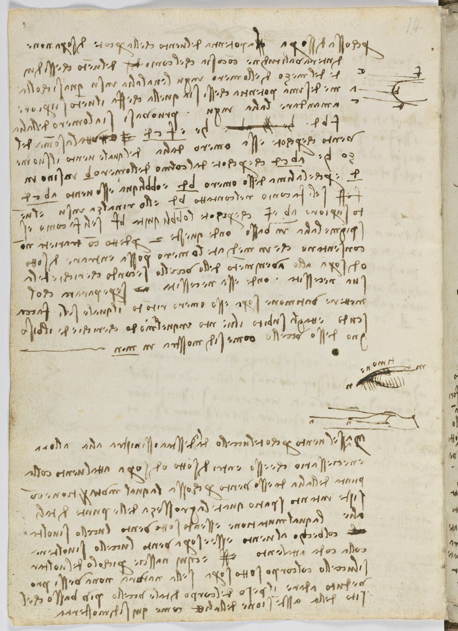 Letový kód ptáků, c. 1505-06, papírový rukopis, cc. 18, list 9 verso od Leonardo da Vinci