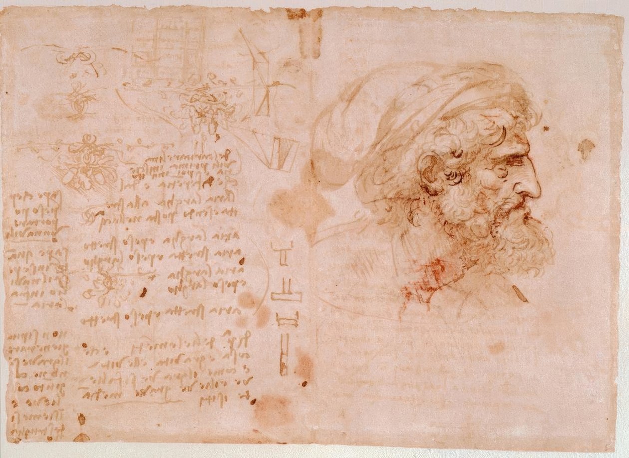 Studie listového ornamentu / profilový portrét starého muže ... od Leonardo da Vinci