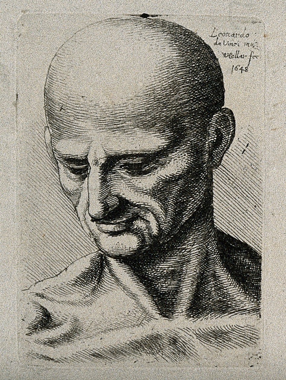 Poprsí hubeného samce s pohledem dolů vpravo dole od Leonardo da Vinci