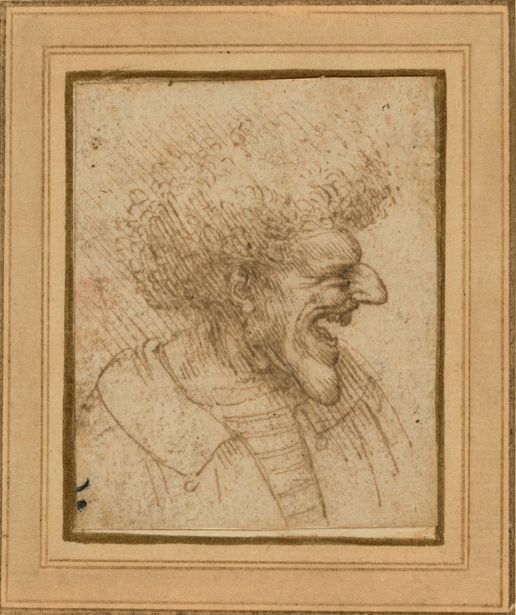 Karikatura muže s hustými vlasy, c.1495 od Leonardo da Vinci