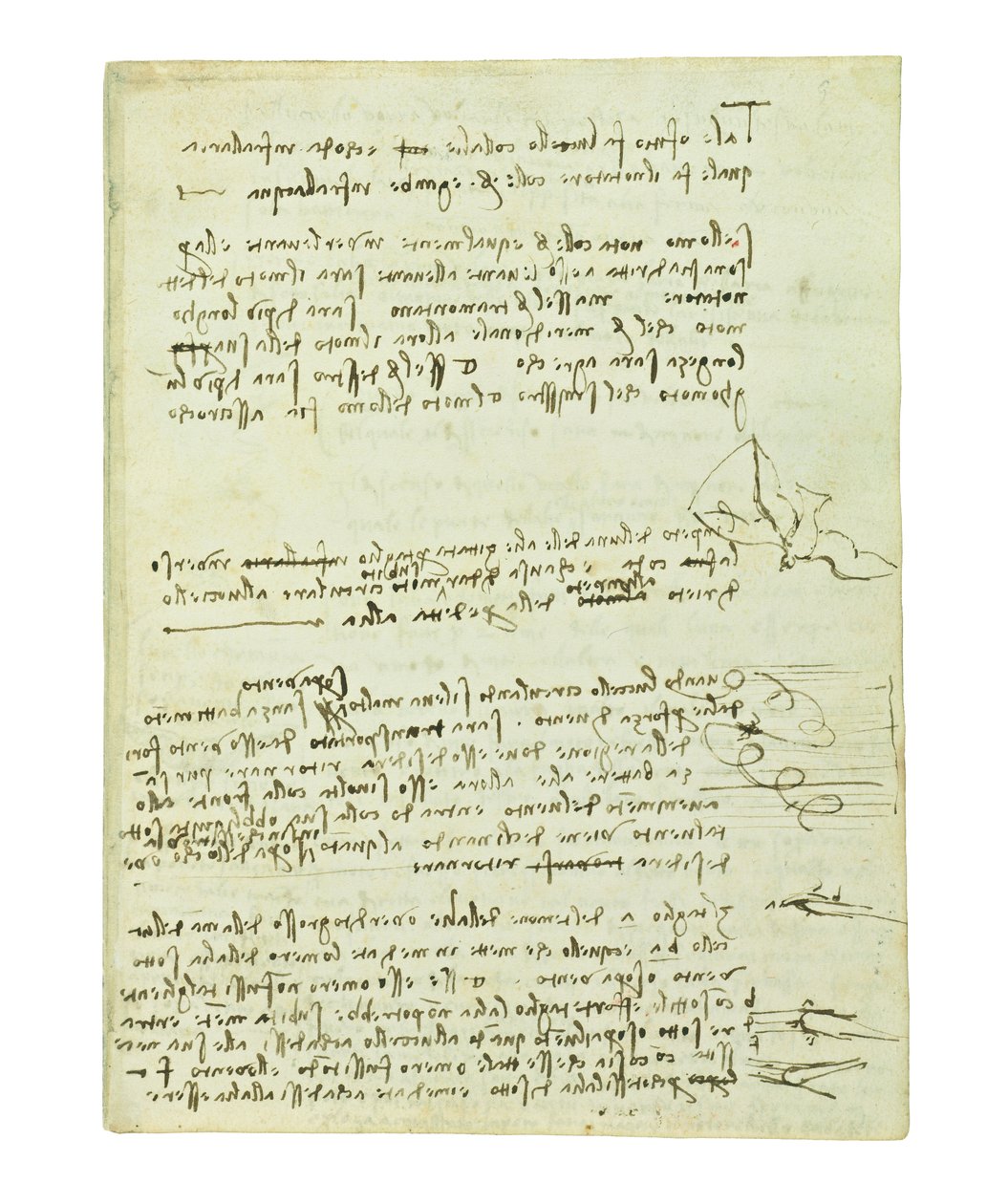 Kodex o letu ptáků, Folio 10 recto od Leonardo da Vinci