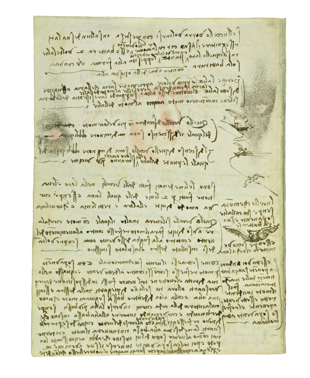 Kodex o letu ptáků, Folio 10 verso od Leonardo da Vinci