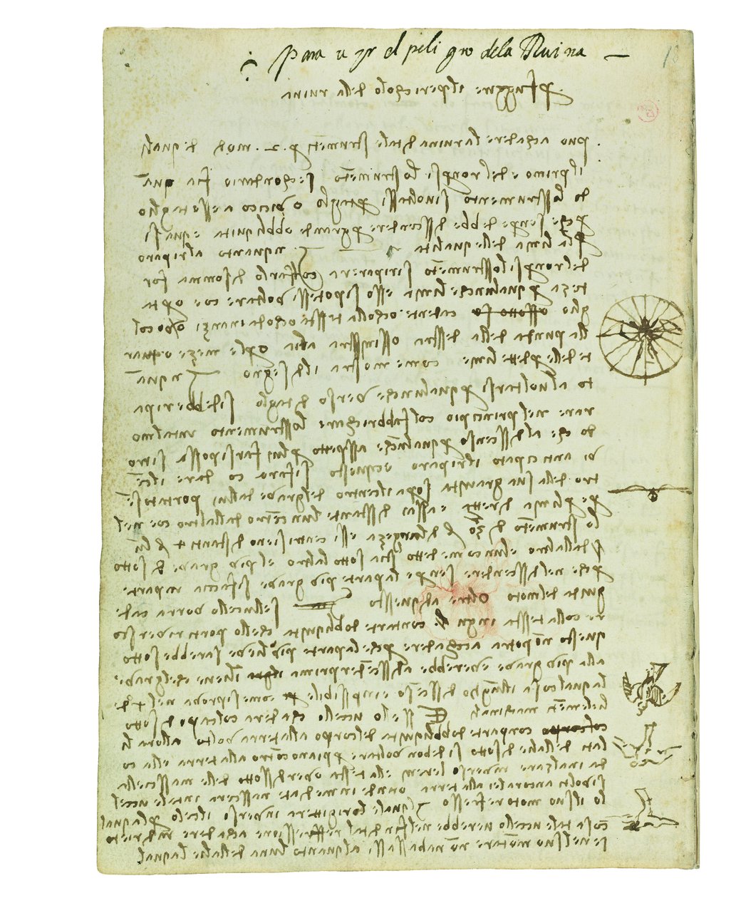 Kodex o letu ptáků, Folio 12 verso od Leonardo da Vinci