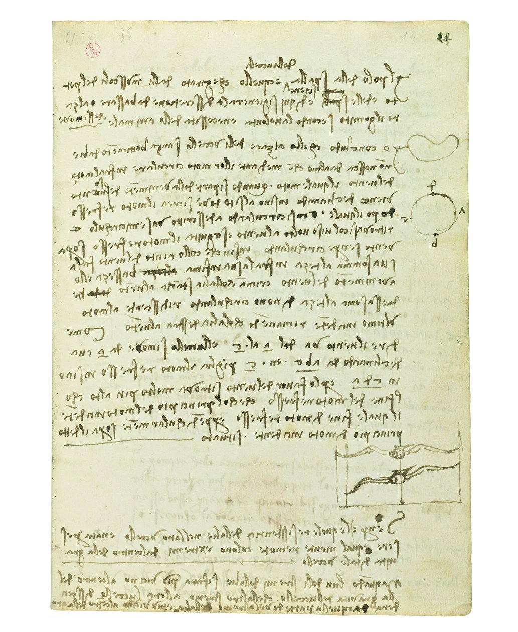 Kodex o letu ptáků, Folio 14 recto od Leonardo da Vinci