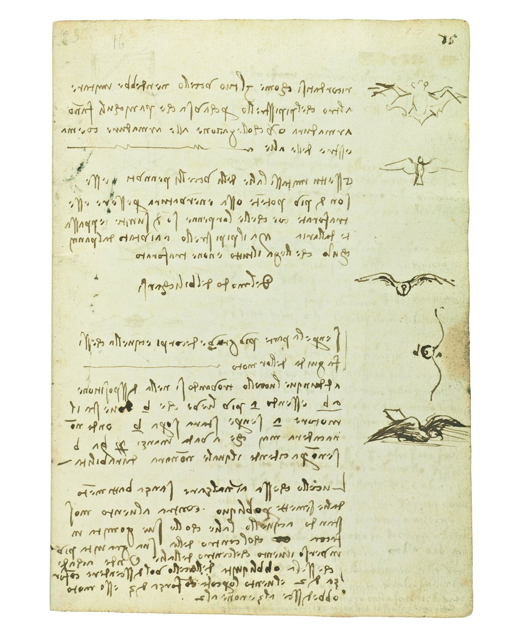 Kodex o letu ptáků, Folio 15 recto od Leonardo da Vinci