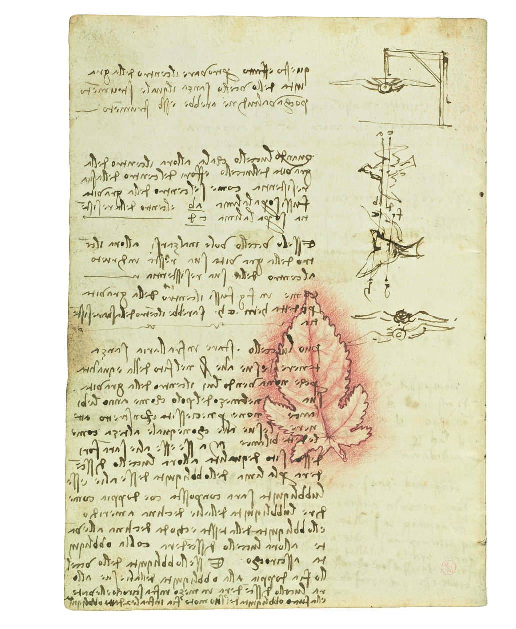 Kodex o letu ptáků, Folio 15 verso od Leonardo da Vinci