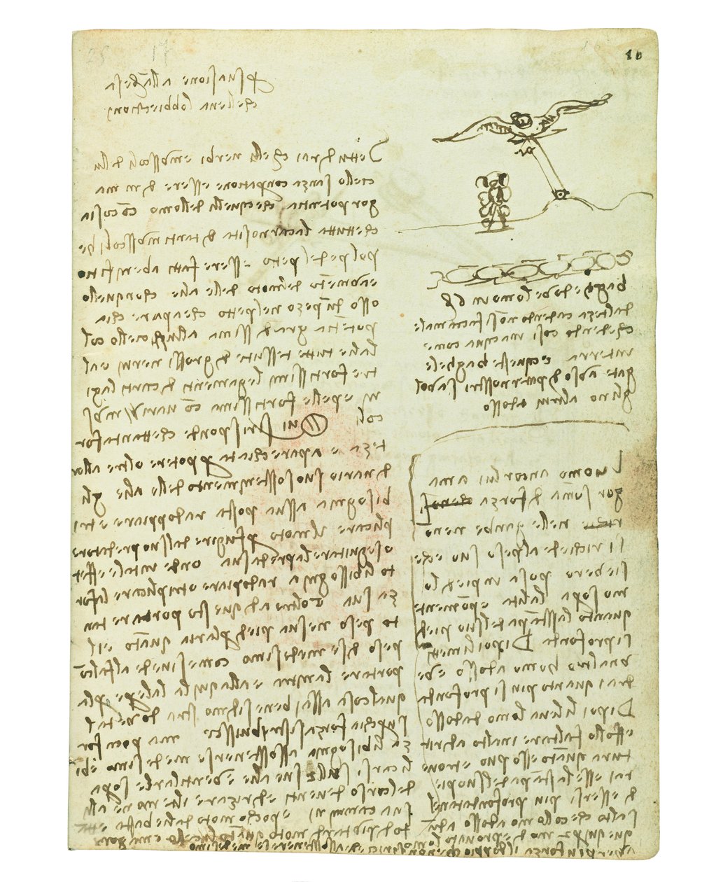Kodex o letu ptáků, Folio 16 recto od Leonardo da Vinci