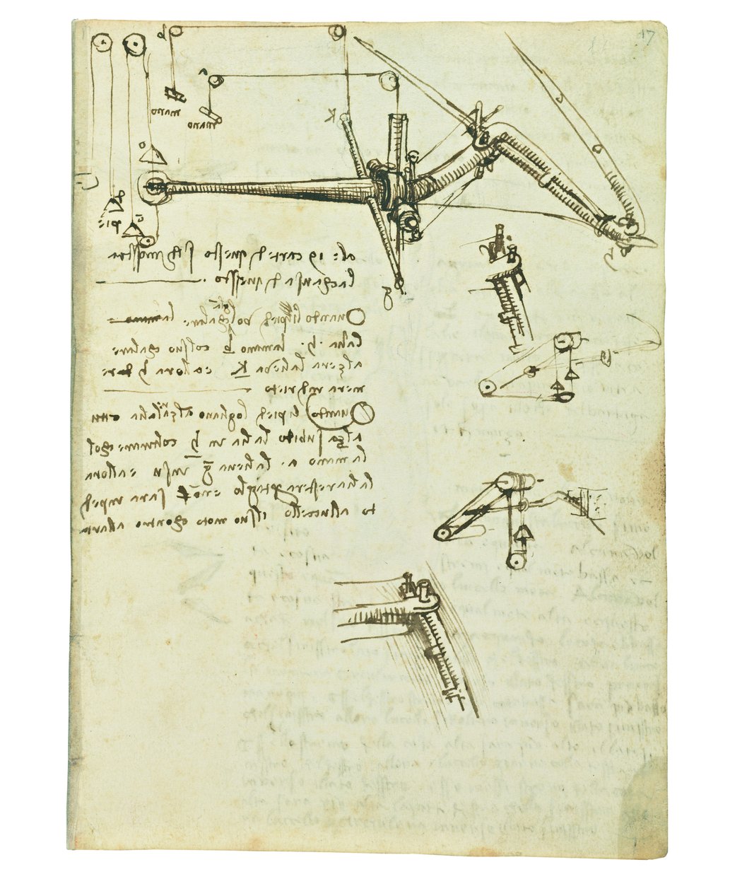 Kodex o letu ptáků, Folio 17 recto od Leonardo da Vinci