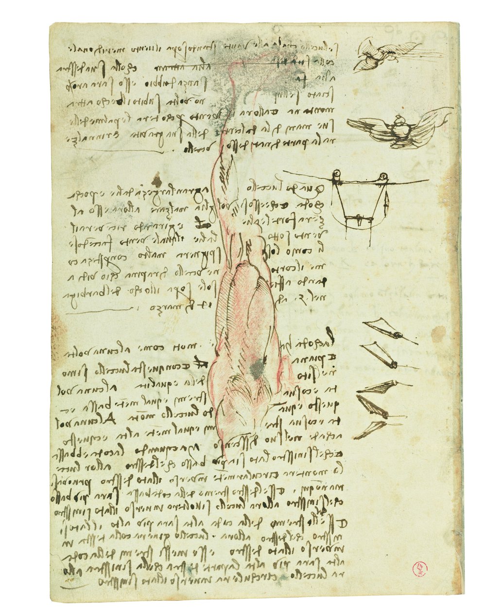Kodex o letu ptáků, Folio 17 verso od Leonardo da Vinci