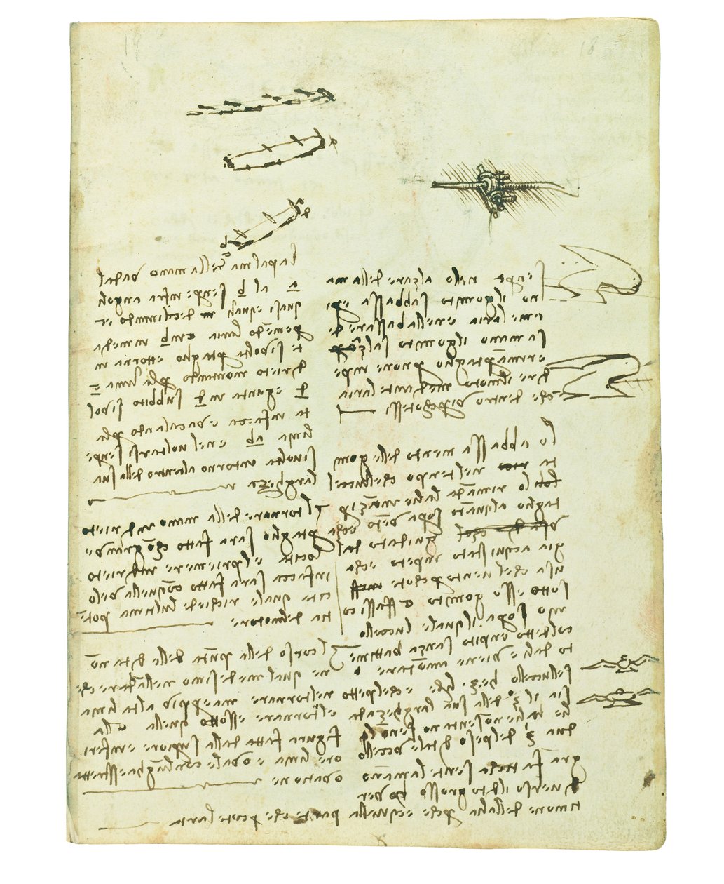 Kodex o letu ptáků, Folio 18 recto od Leonardo da Vinci