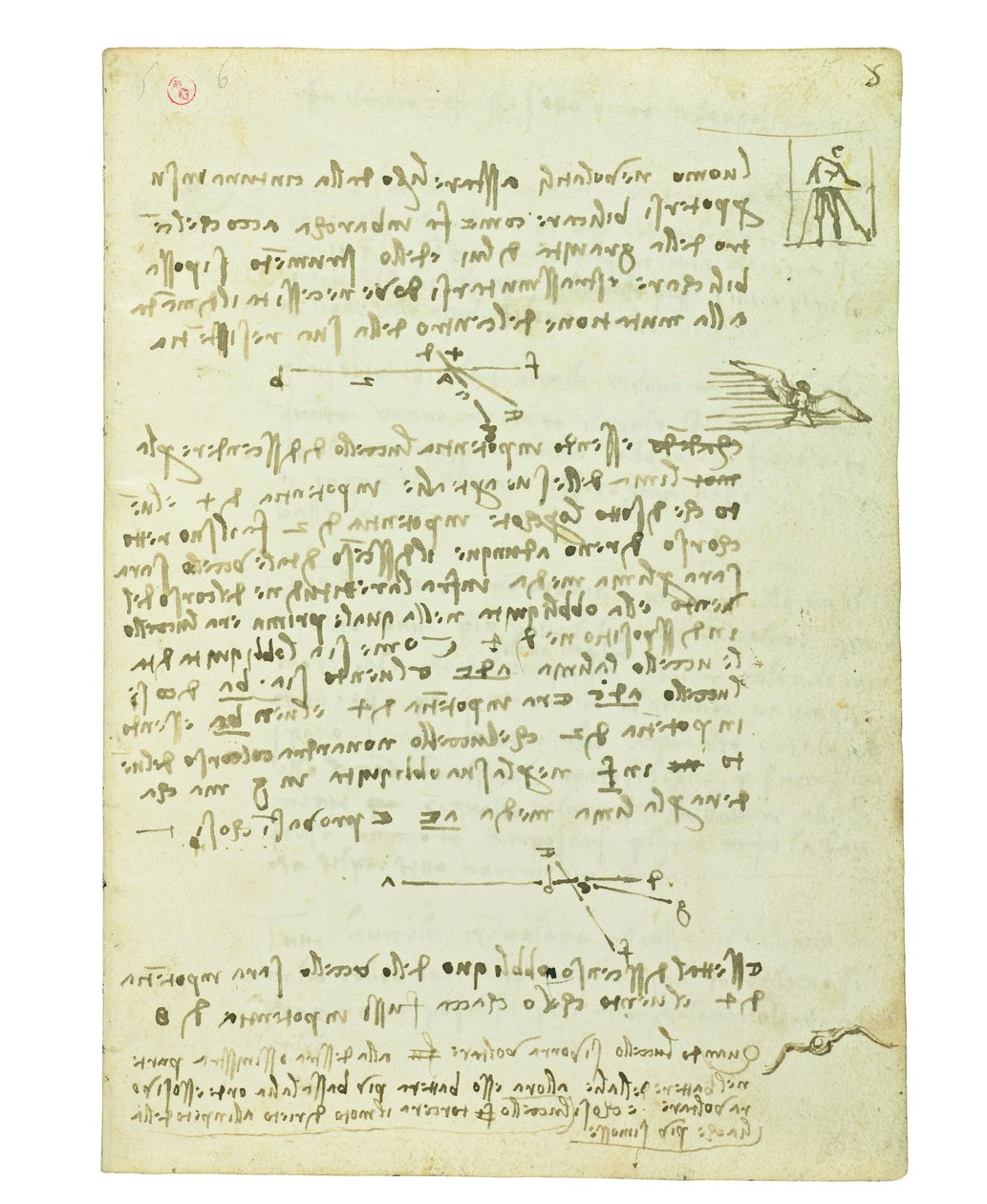 Kodex o letu ptáků, Folio 5 recto od Leonardo da Vinci