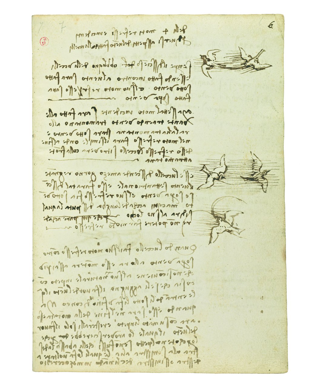 Kodex o letu ptáků, Folio 6 recto od Leonardo da Vinci