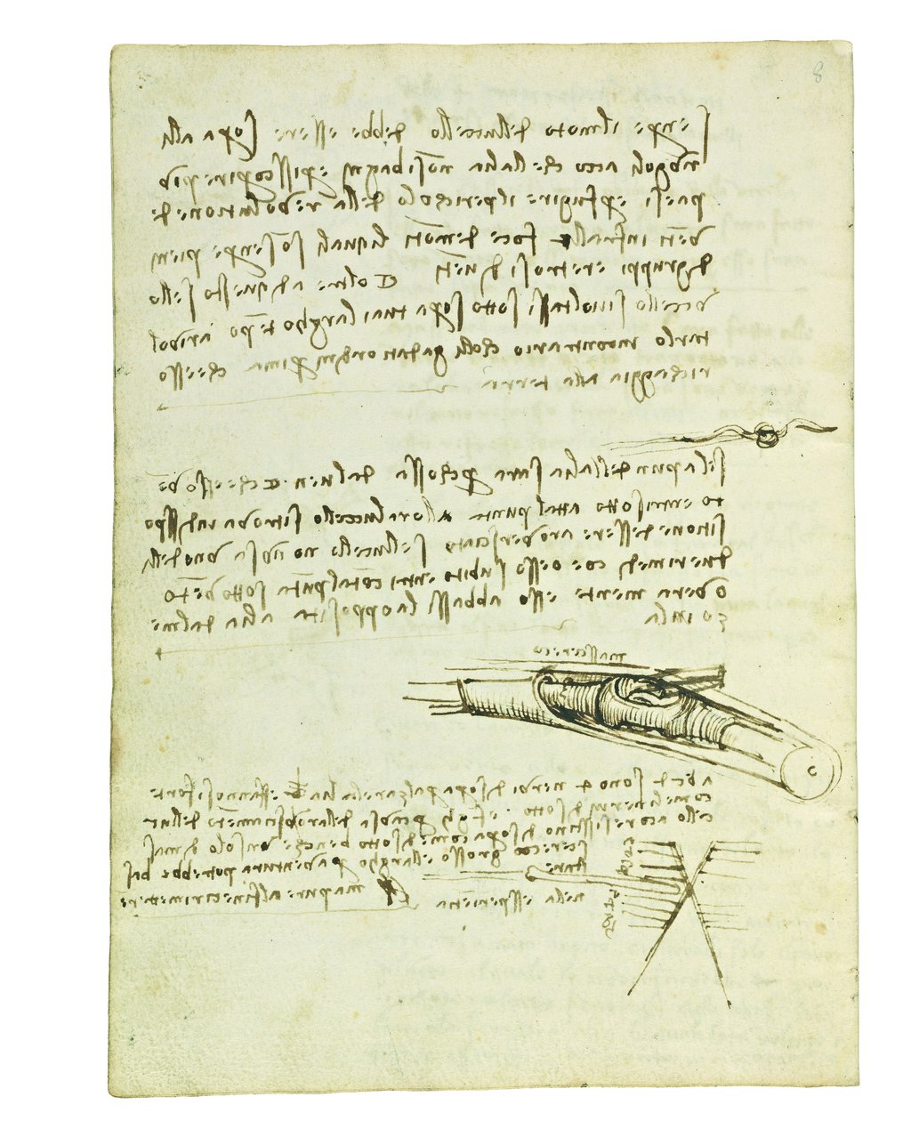 Kodex o letu ptáků, Folio 6 verso od Leonardo da Vinci