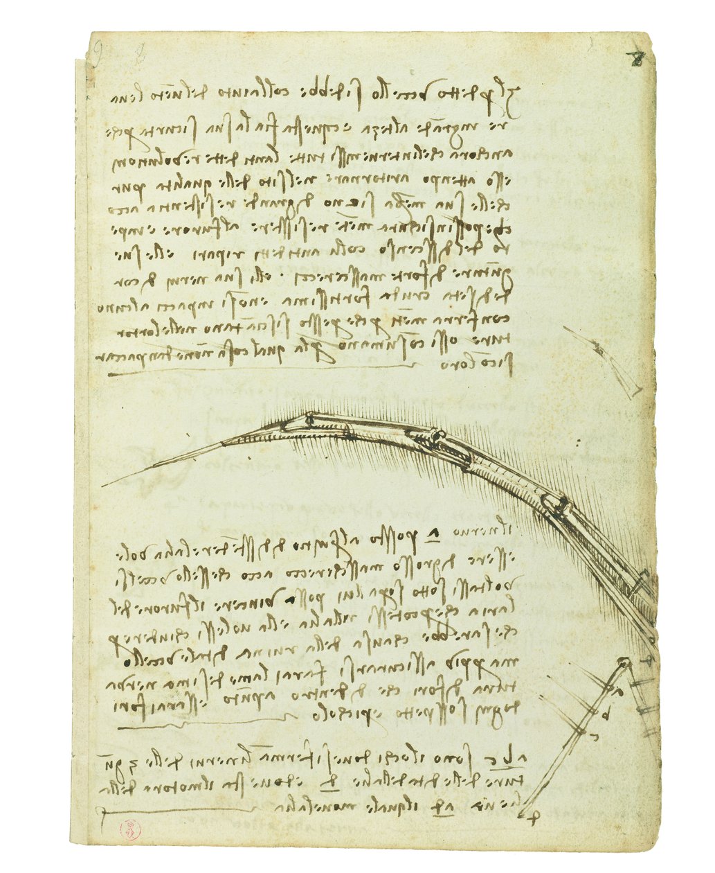 Kodex o letu ptáků, Folio 7 recto od Leonardo da Vinci