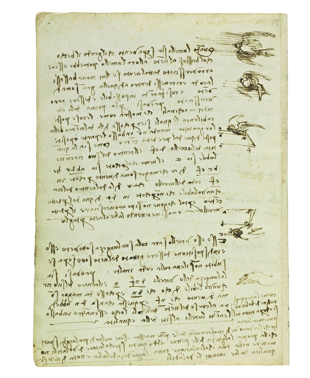 Kodex o letu ptáků, Folio 8 verso od Leonardo da Vinci