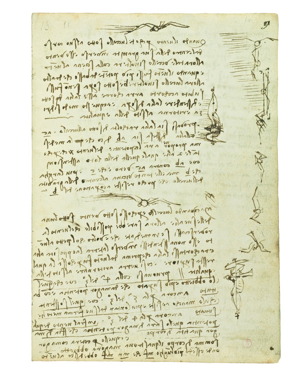 Kodex o letu ptáků, Folio 9 recto od Leonardo da Vinci
