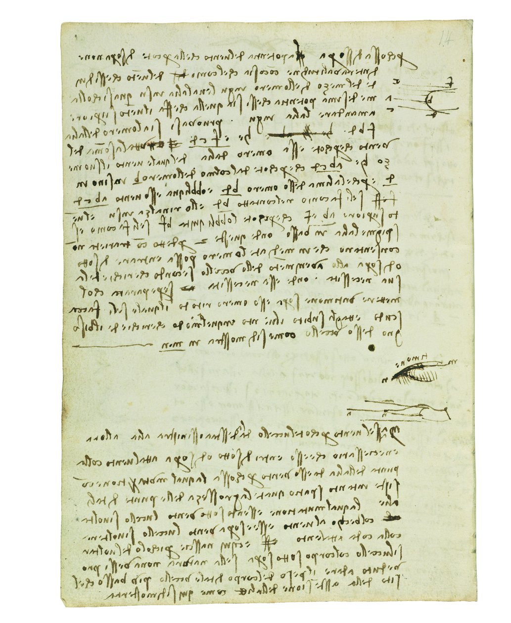 Kodex o letu ptáků, Folio 9 verso od Leonardo da Vinci