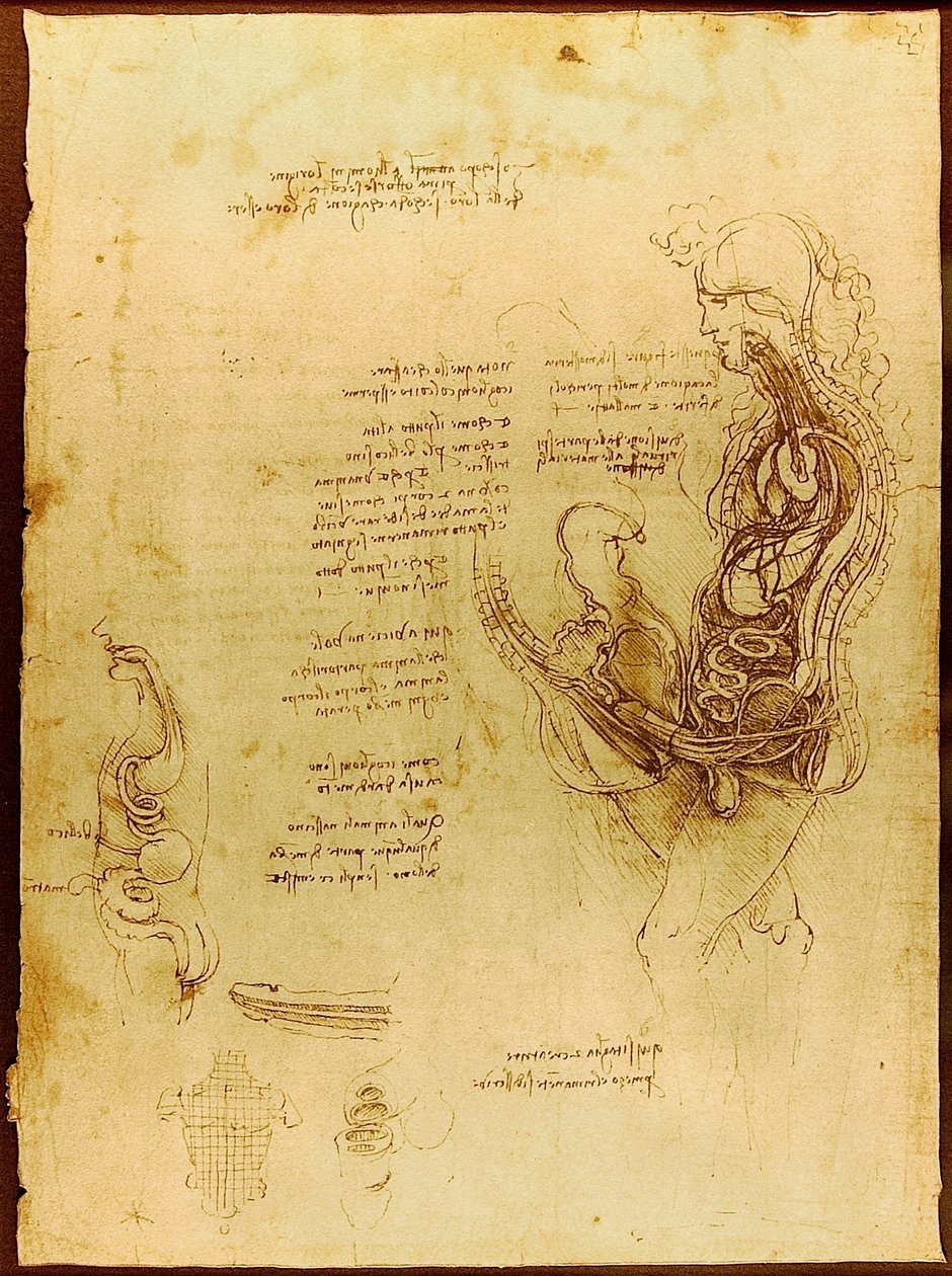 Coition of Hemisected muže a ženy Luc Viatour od Leonardo da Vinci