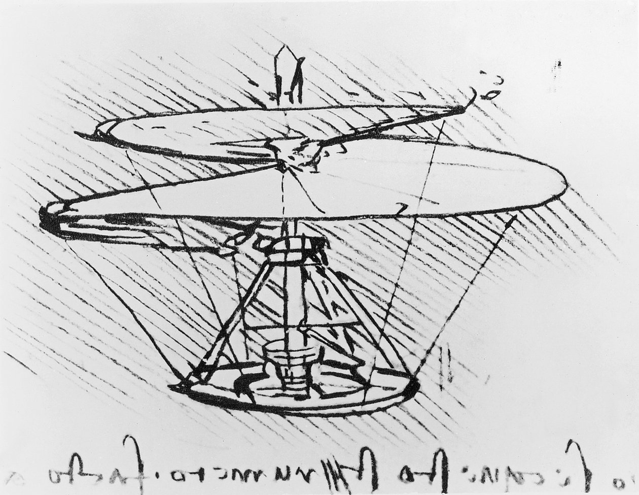 Detail návrhu létajícího stroje, pero c.1488 a inkoust na papíře od Leonardo da Vinci