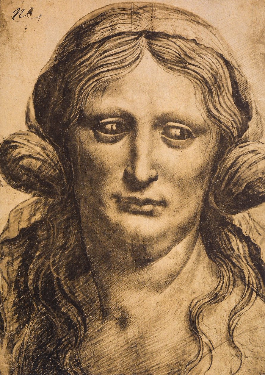 Ženský portrét; kresba Leonarda da Vinciho. Louvre, Paříž od Leonardo da Vinci