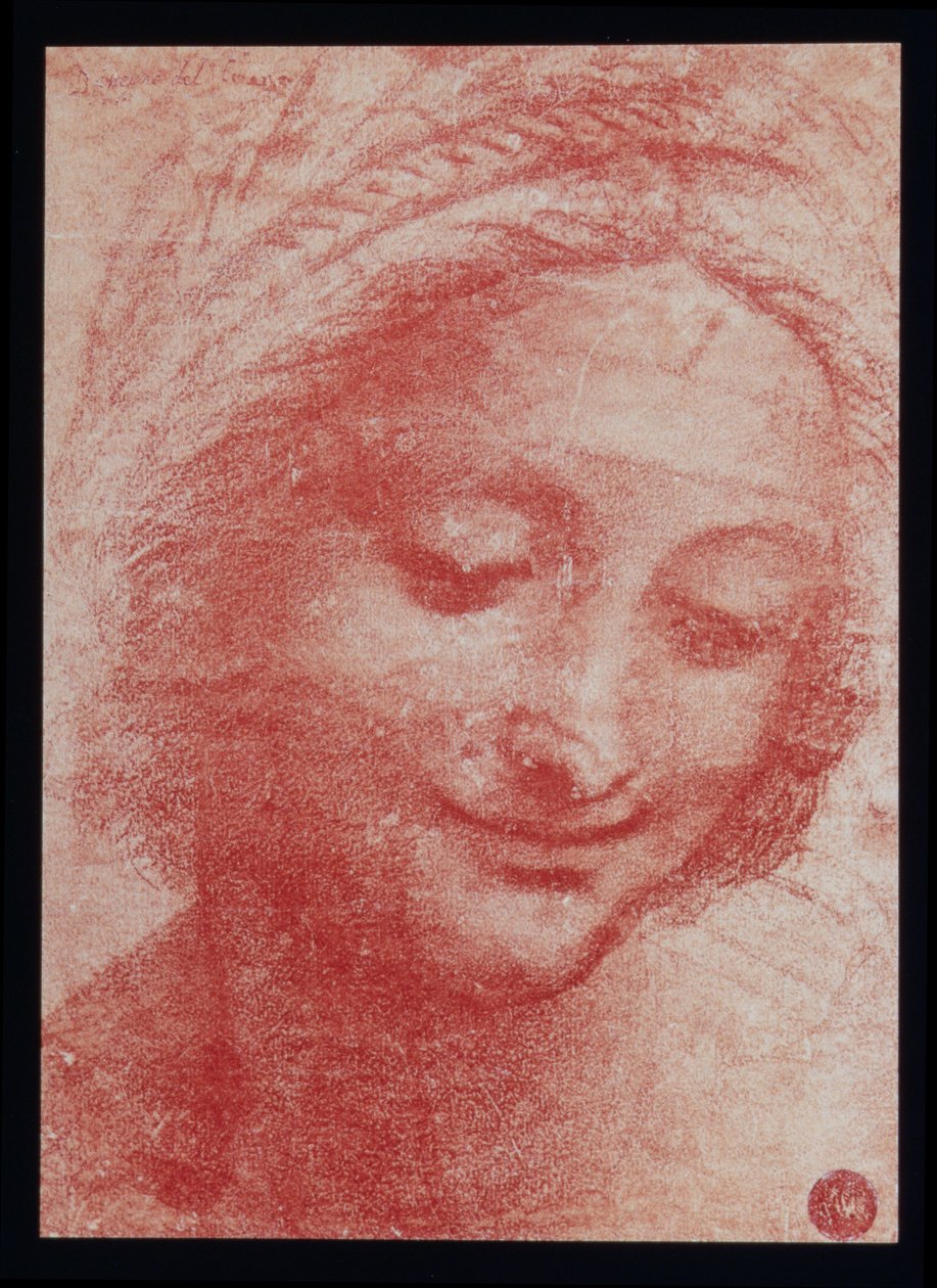 Hlava ženy (uhl na papíře) od Leonardo da Vinci