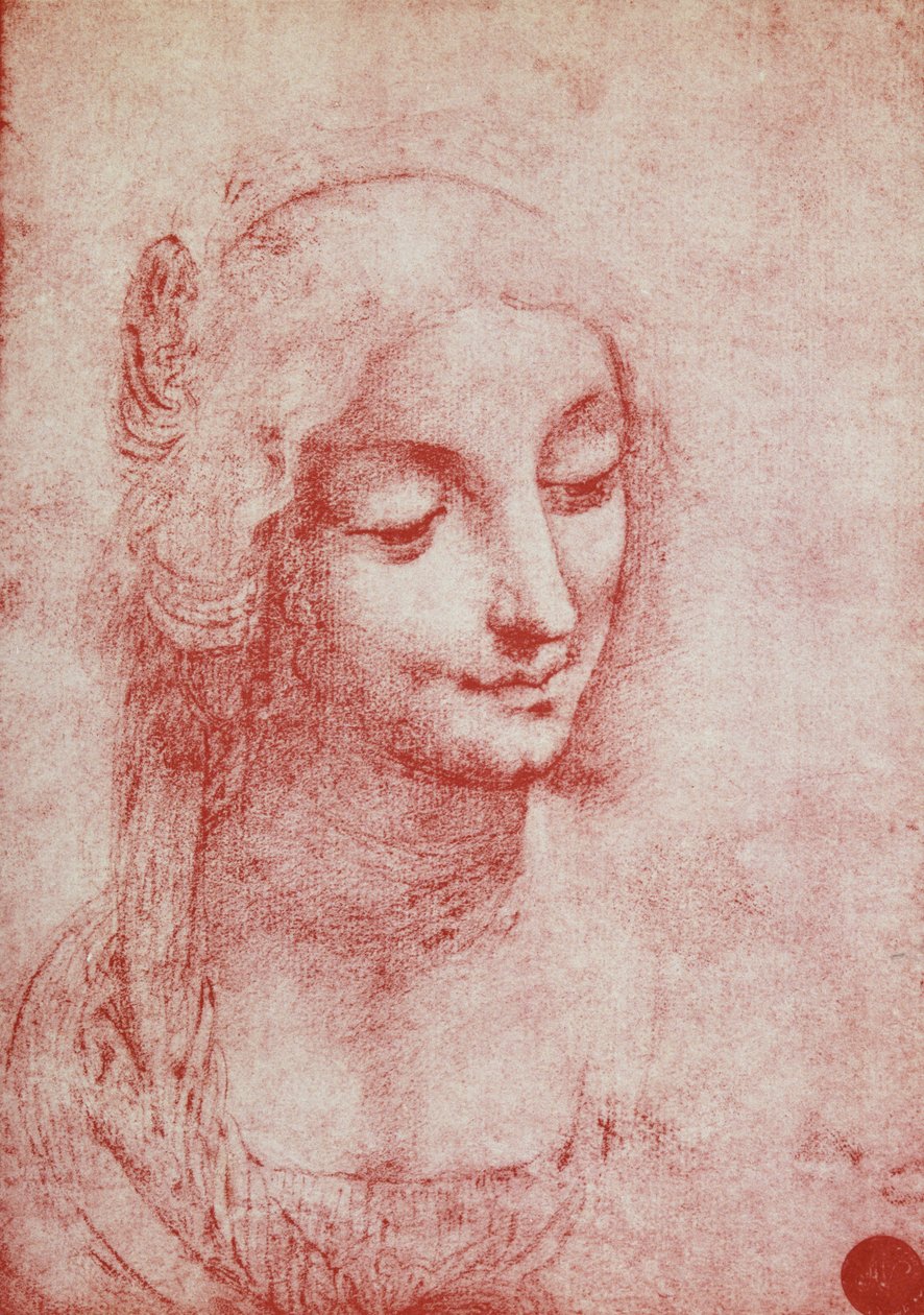 Hlava ženy (červená křída na papíře) od Leonardo da Vinci