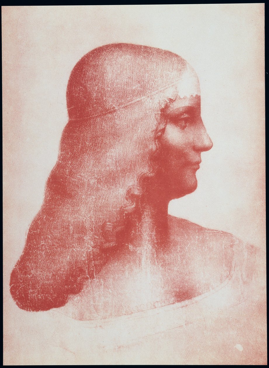 Hlava ženy v profilu (červená křída na papíře) od Leonardo da Vinci