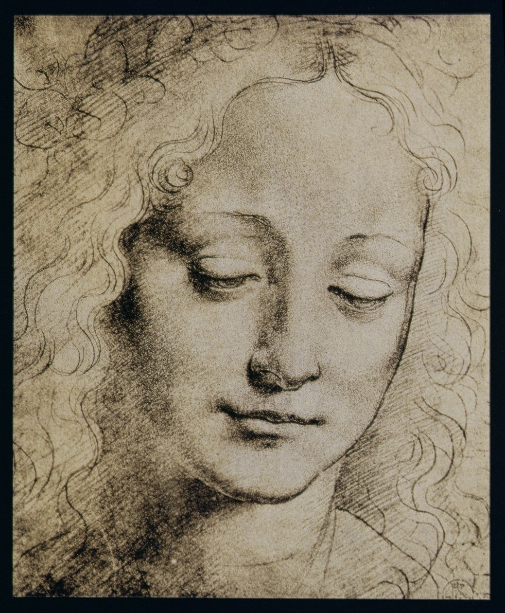 Hlava mladé dívky od Leonardo da Vinci