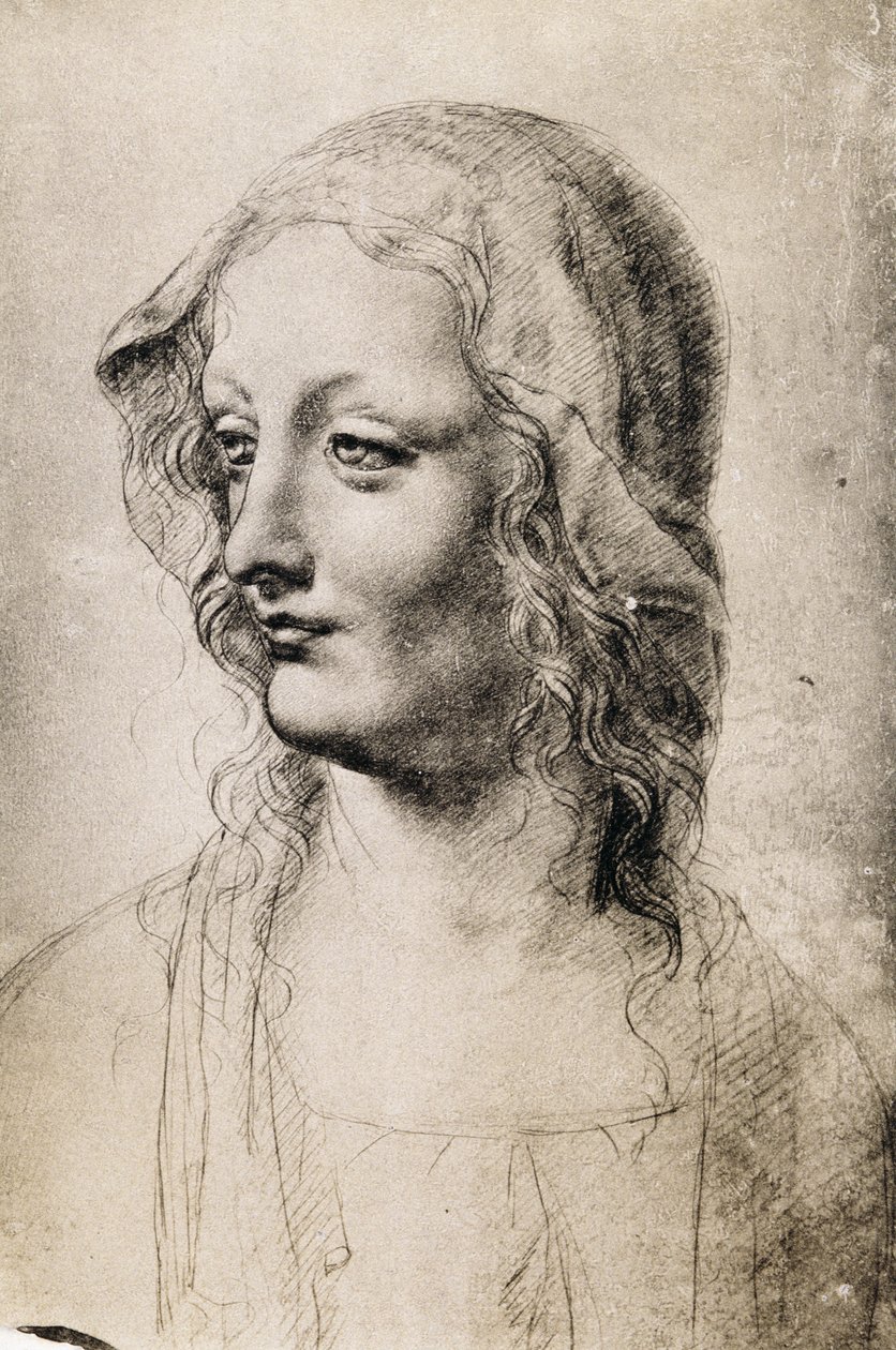 Hlava mladé ženy (uhl na papíře) od Leonardo da Vinci