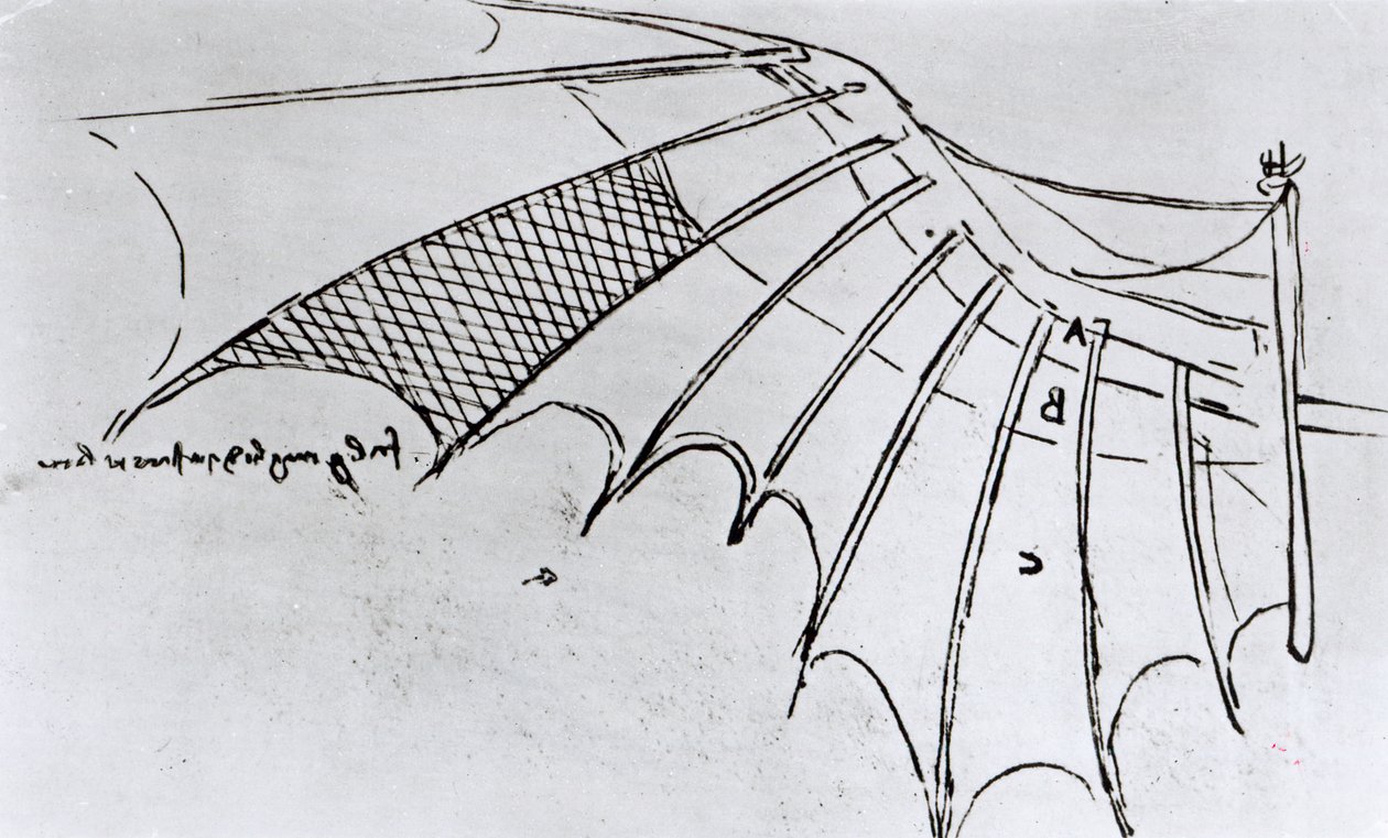 M S B 2173 fol. 74r Studie artikulace křídel, 1487-90 od Leonardo da Vinci