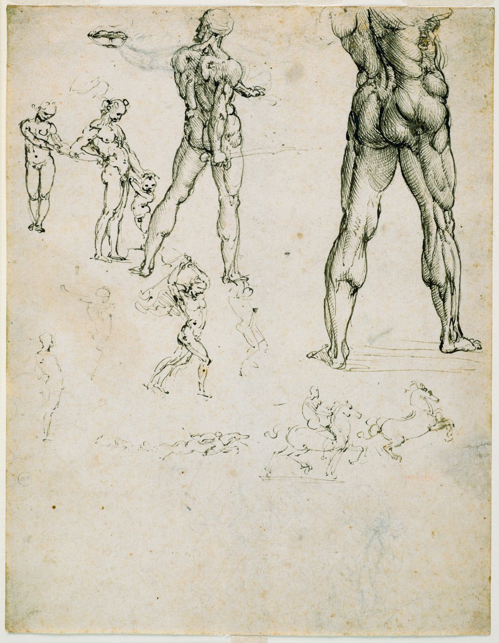 Nudi, za „bitvu u Anghiari“ a další figurální studie, c. 1505 (pero a hnědý inkoust, stopy dřevěného uhlí na papíře) od Leonardo da Vinci