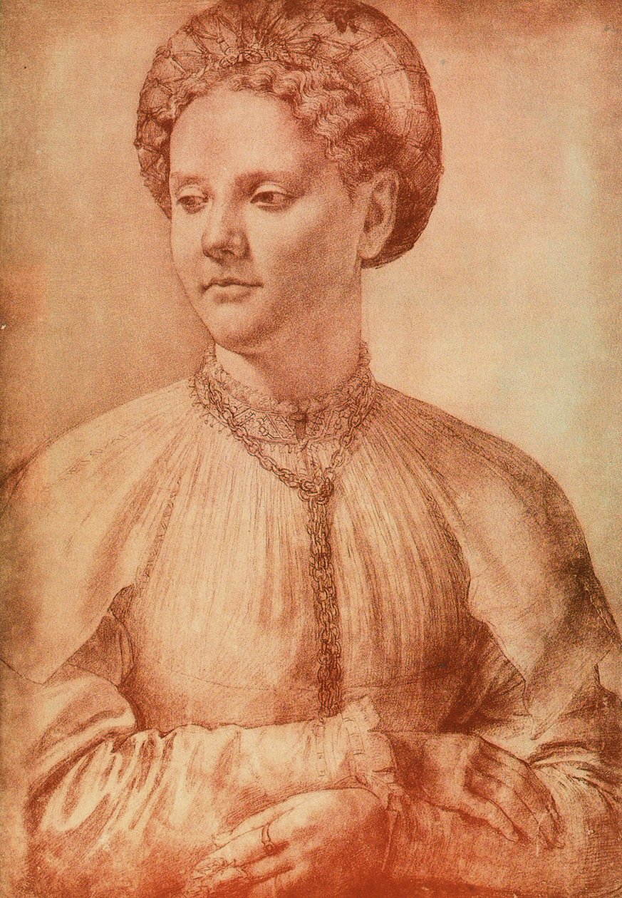 Portrét šlechtičny, kresba Leonardo da Vinci. Kabinet kreseb a tisků, Galerie Uffizi, Florencie od Leonardo da Vinci