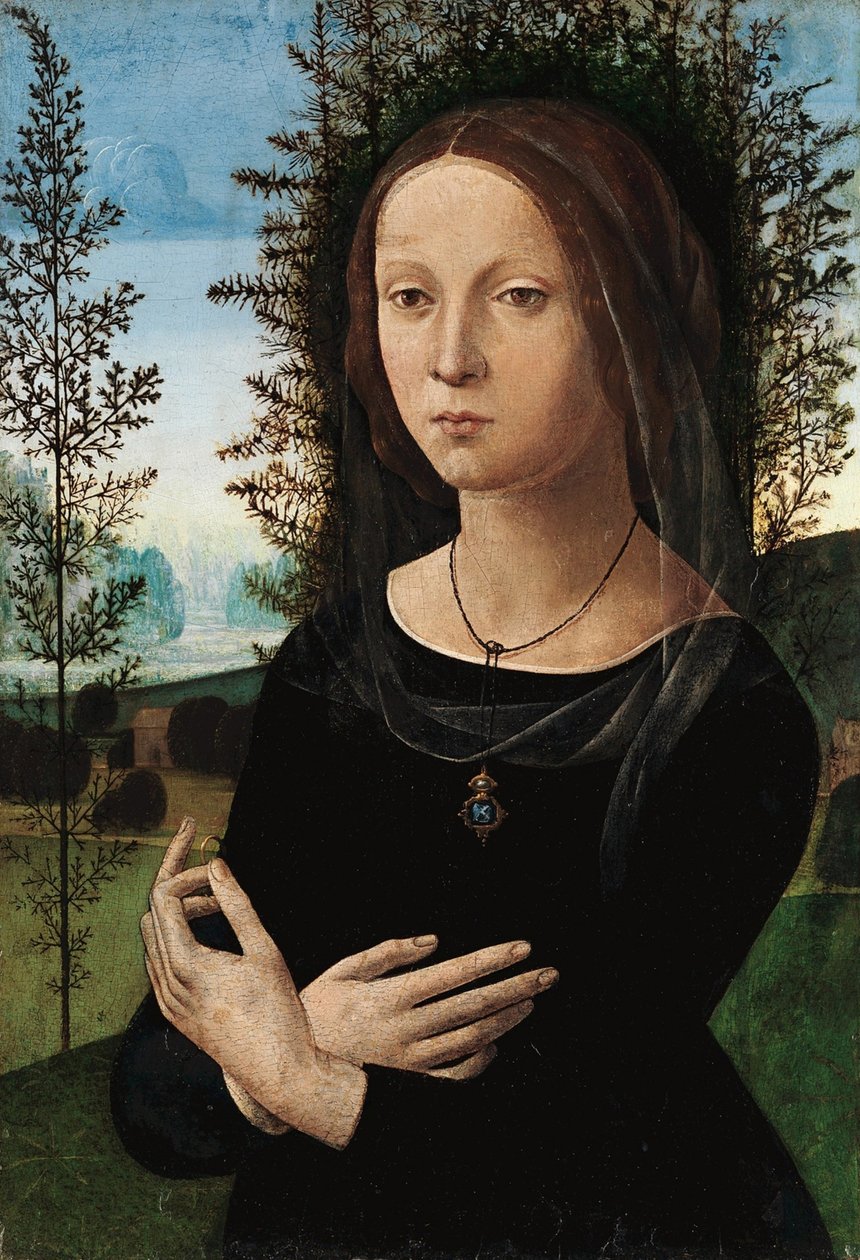 Portrét mladé ženy od Leonardo da Vinci