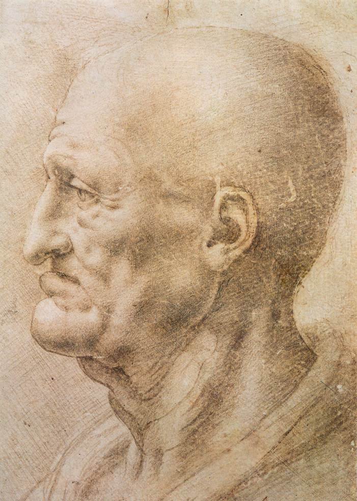 Profil starého muže od Leonardo da Vinci