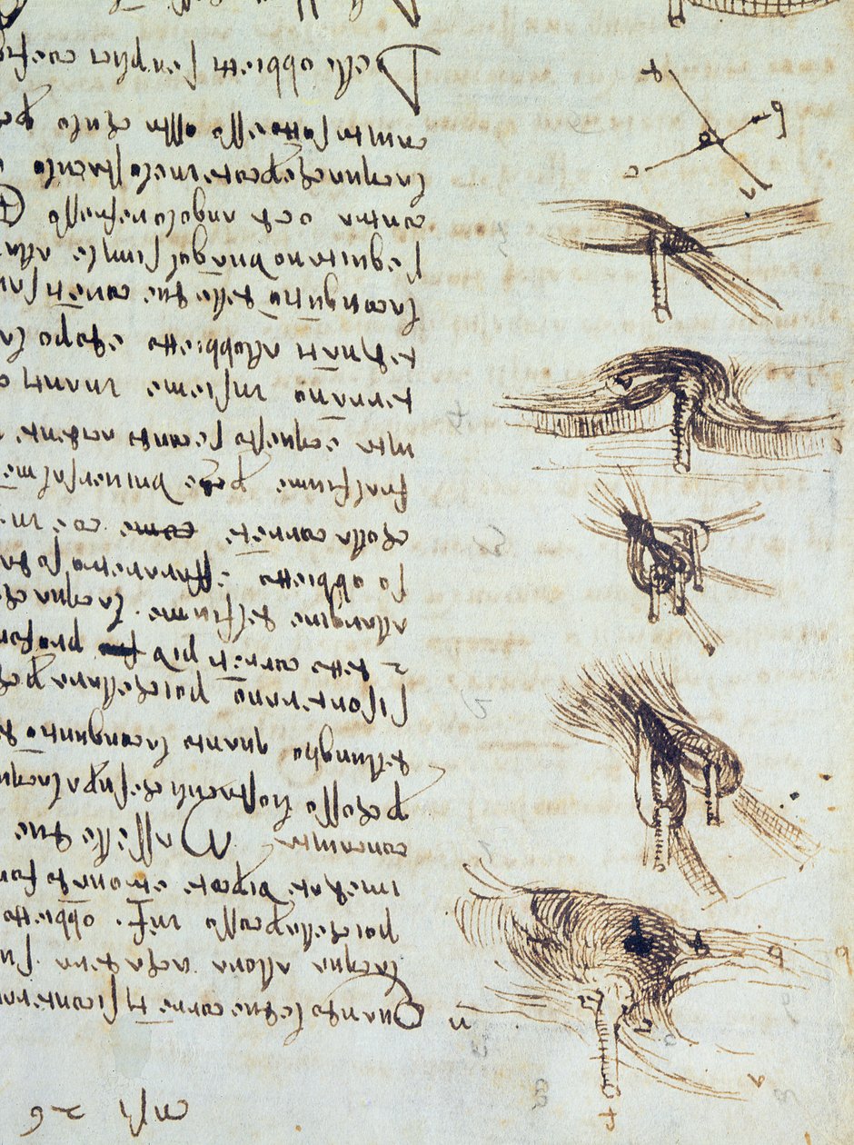 Vědecké diagramy, z Codex Leicester, 1508-12 sépiový inkoust na lněném papíře detail 227790 od Leonardo da Vinci