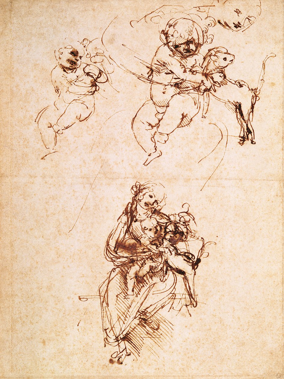 Studie pro Madonu s kočkou, c.1478-80 (pero a inkoust na papíře) od Leonardo da Vinci