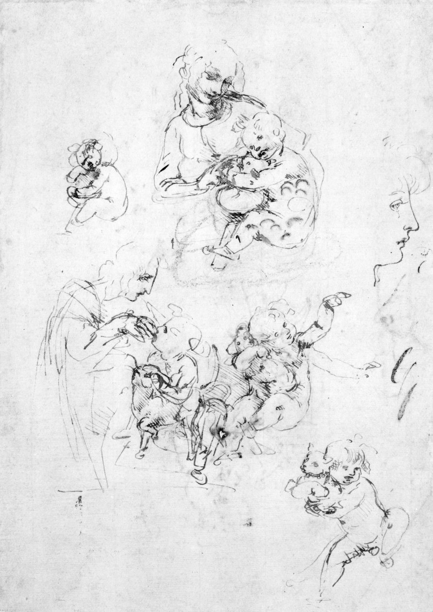 Studie pro Madonu s kočkou, cca 1478-80 (pero a inkoust přes černou křídu na papíře) od Leonardo da Vinci