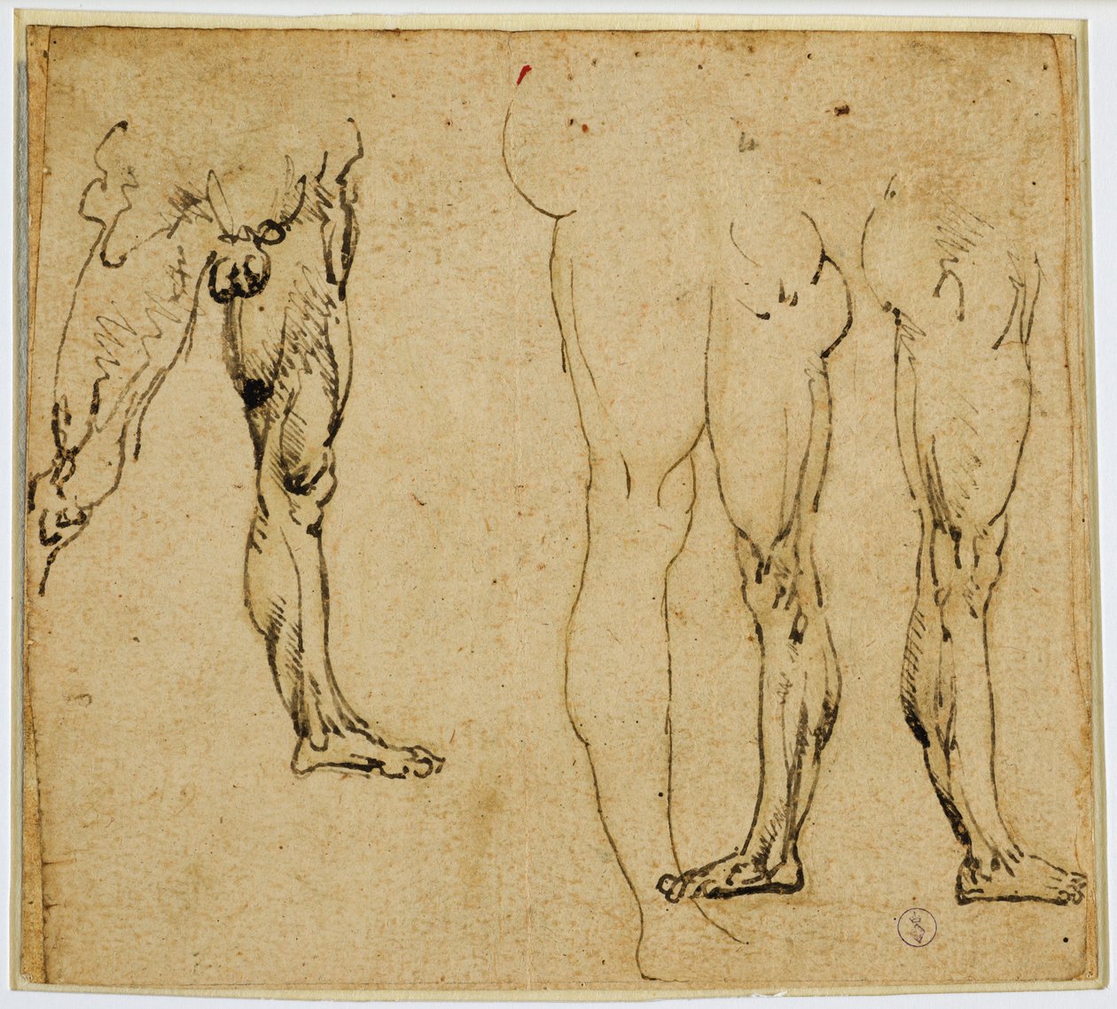 studie mužských nohou, c. 1485-1487 (pero a inkoust, se stopami kovového hrotu na papíře) od Leonardo da Vinci