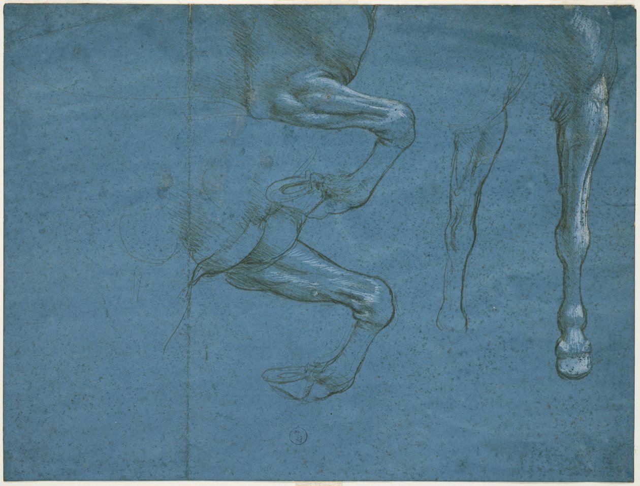 Studie předních končetin koně, c. 1490 (kovový hrot a vápno na modrém připraveném papíru) od Leonardo da Vinci
