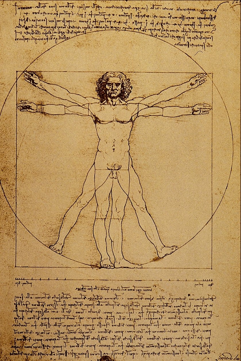 Studie lidského těla od Leonardo da Vinci
