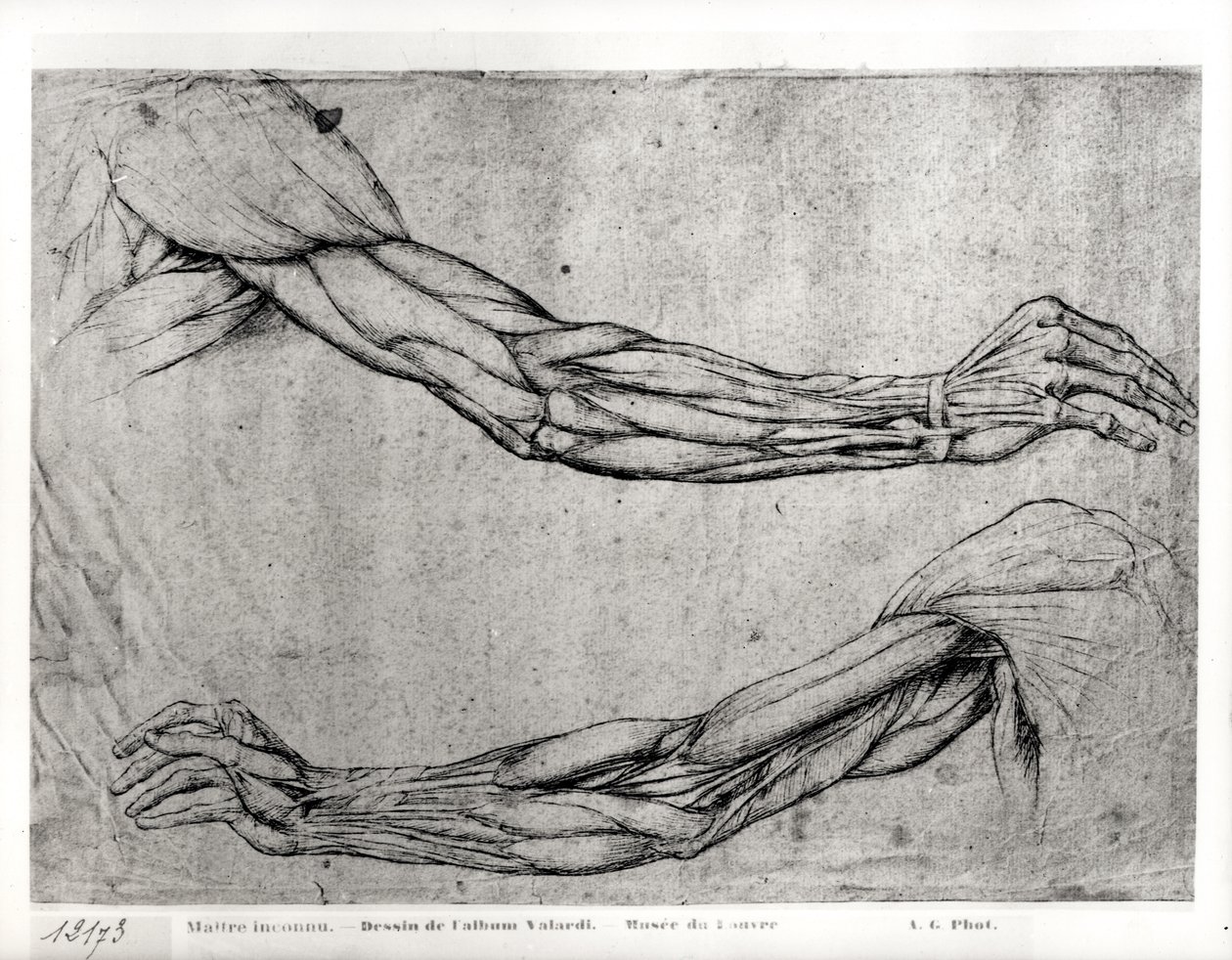 Studium zbraní od Leonardo da Vinci