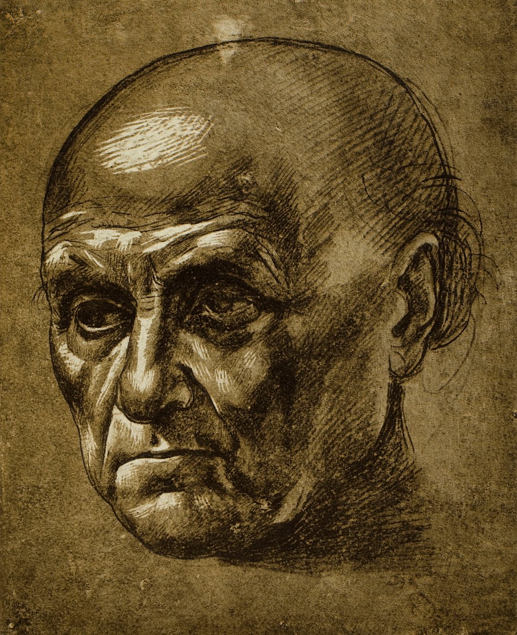 Studie mužské tváře; kresba Leonarda da Vinciho. Louvre, Paříž od Leonardo da Vinci