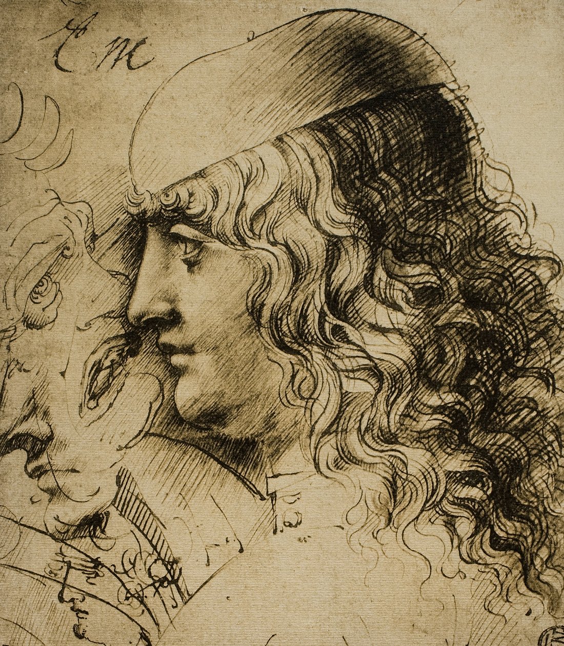 Studie mužské hlavy; kresba Leonarda da Vinciho. Louvre, Paříž od Leonardo da Vinci
